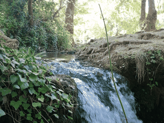 A view of Ifrane