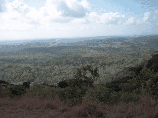 A view of Shimba Hills National Reserve