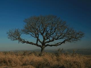 A view of Hluhluwe