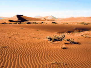 A view of Namib-Naukluft National Park