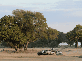 A view of South Luangwa National Park
