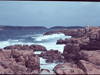 A view of Plettenberg Bay