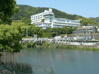 A view of Saga
