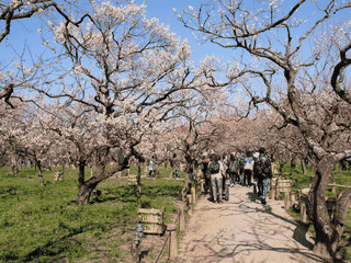 A view of Mito