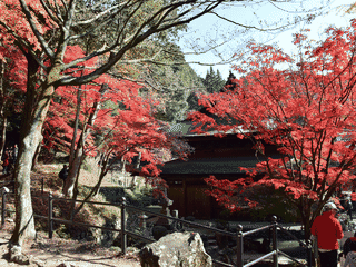 A view of Seto