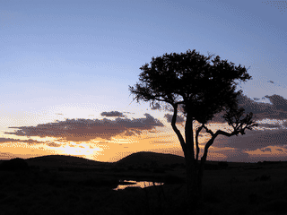 A view of Maasai Mara National Reserve