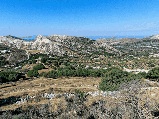 A view of Naxos