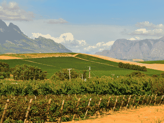 A view of Stellenbosch