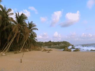 A view of Puerto Escondido