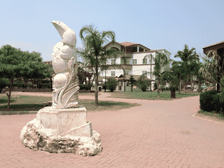 A view of San Ignacio