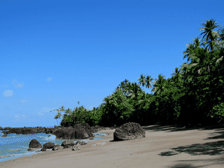 A view of Corcovado National Park
