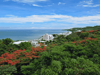 A view of Aguadilla