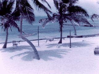 A view of Ambergris Caye