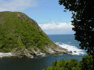 A view of Tsitsikamma National Park