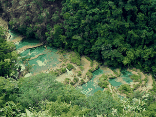 A view of Semuc Champey