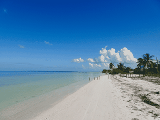 A view of Holbox