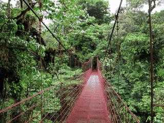 A view of Monteverde and Santa Elena Cloud Forest Reserves