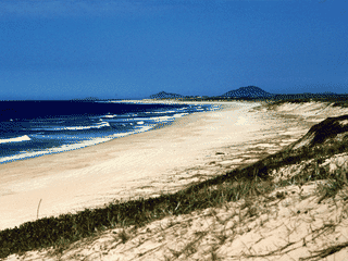 A view of Myall Lakes National Park
