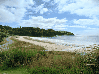 A view of Stewart Island