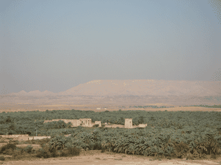 A view of Kharga Oasis