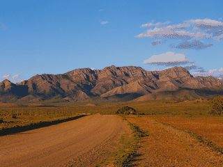 A view of Ikara-Flinders Ranges National Park