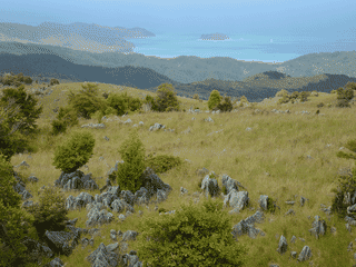 A view of Abel Tasman National Park