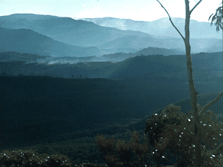 A view of Katoomba