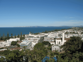 A view of Napier