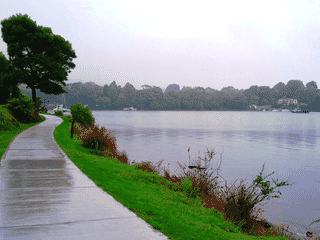 A view of Strahan