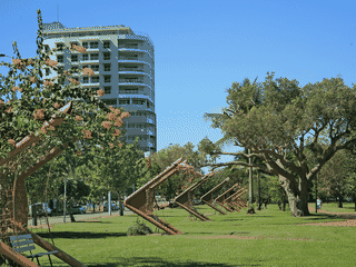 A view of Darwin
