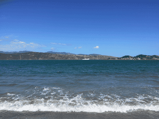 A view of Wellington