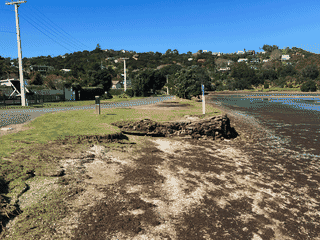 A view of Waiheke Island