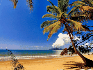 A view of Mission Beach